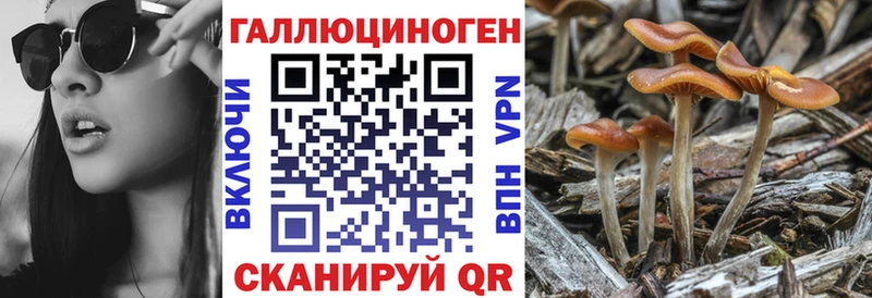 Галлюциногенные грибы мухоморы Новочеркасск